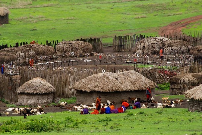 Maasai Boma & Culture