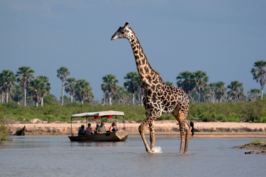 Selous Game Drive