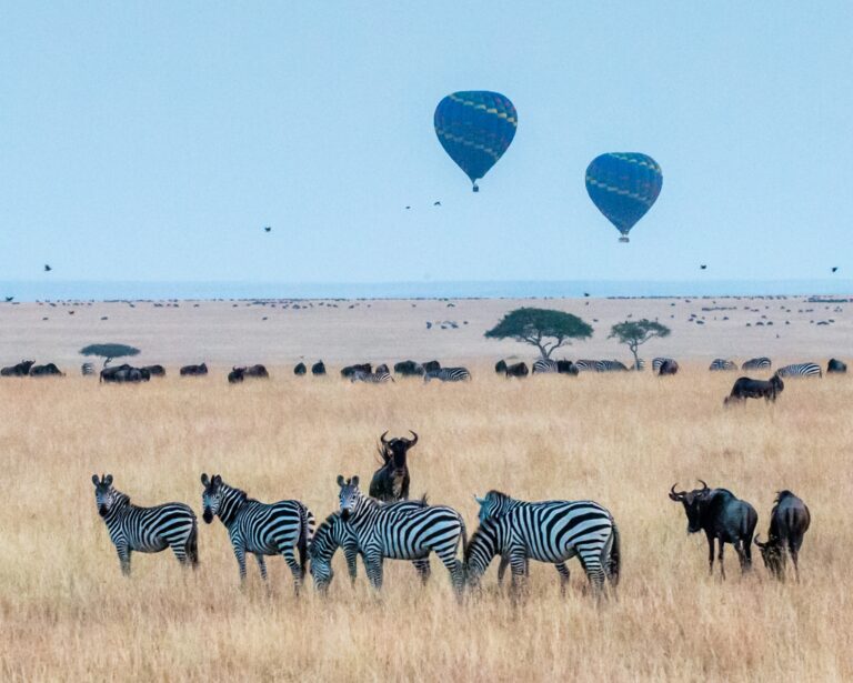 4Days & 3Nights Naivasha, Nakuru & Maasai Mara